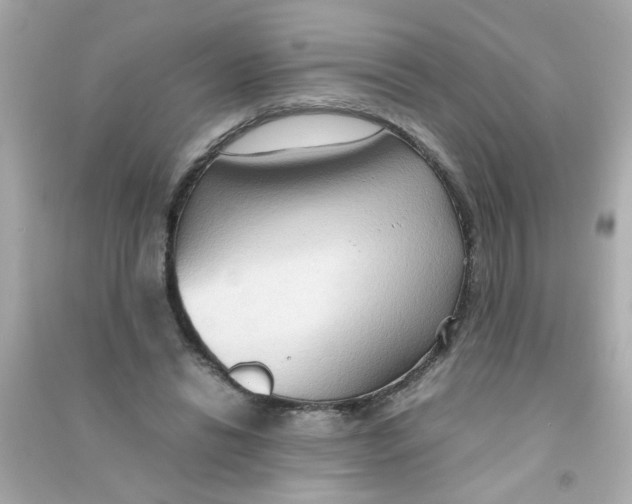 X0000090470446200708102137