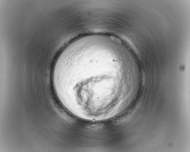 X0000090470447200708102137