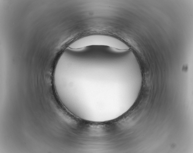 X0000090470450200708102137