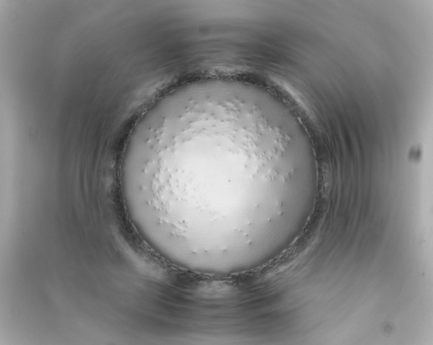 X0000090470451200708102137