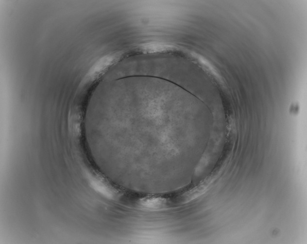 X0000090470452200708102137