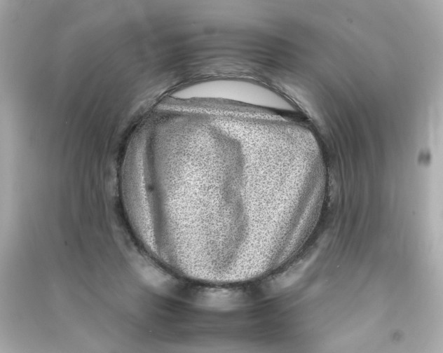 X0000090470453200708102137