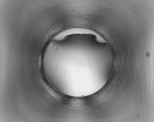 X0000090470454200708102137