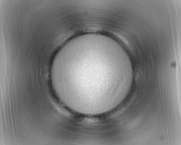 X0000090470455200708102137