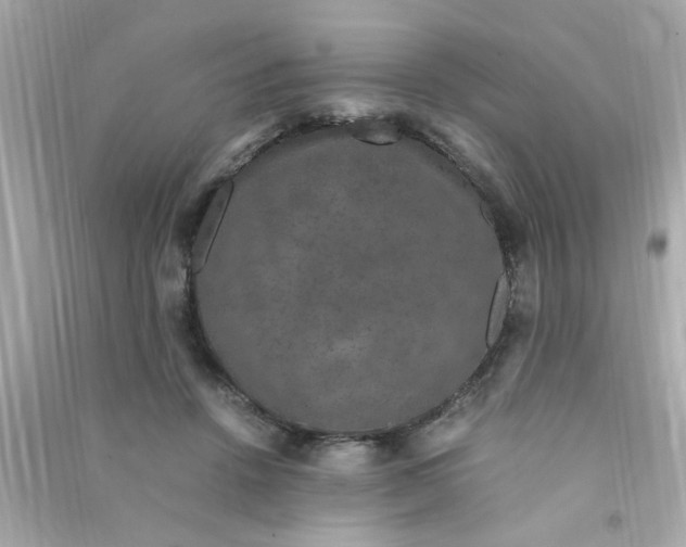 X0000090470456200708102137