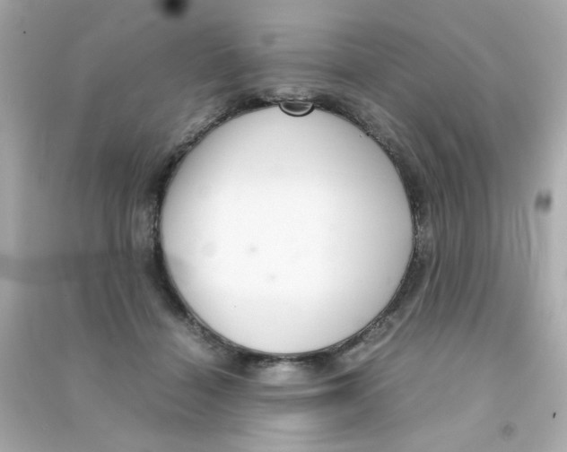 X0000090470460200708102137