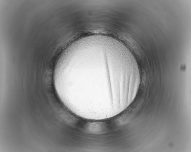 X0000090470461200708102137