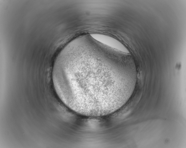 X0000090470462200708102137