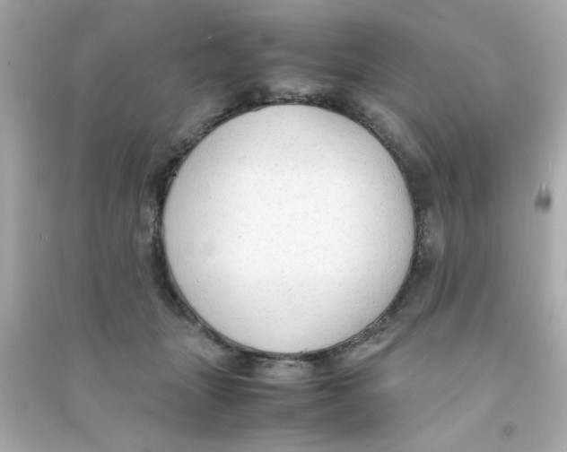 X0000090470463200708102137