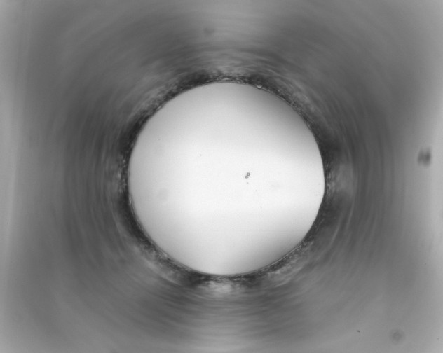 X0000090470464200708102137