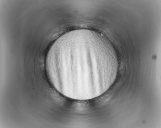 X0000090470466200708102137