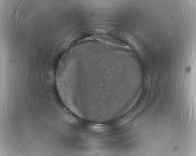 X0000090470467200708102137