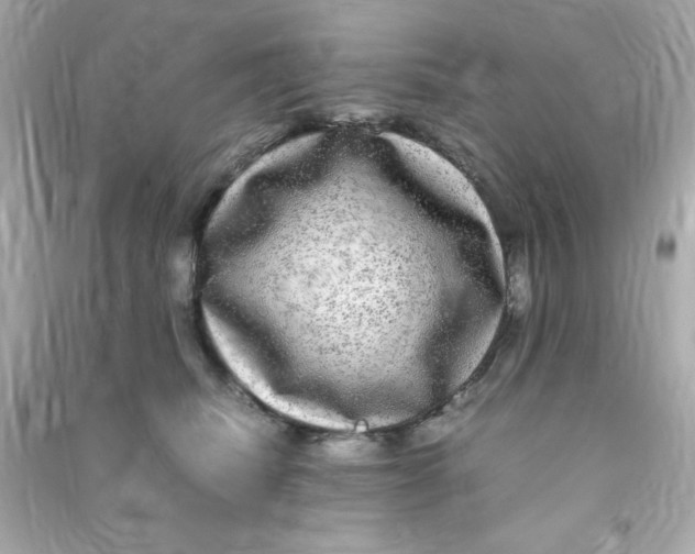 X0000090470468200708102137