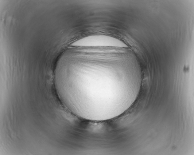 X0000090470469200708102137