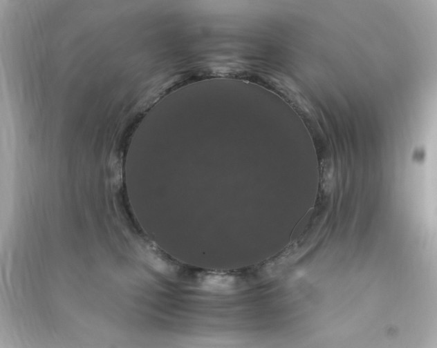 X0000090470471200708102137