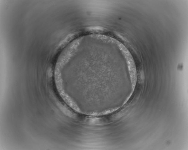 X0000090470472200708102137