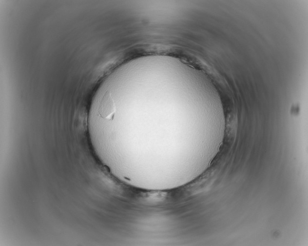 X0000090470474200708102137