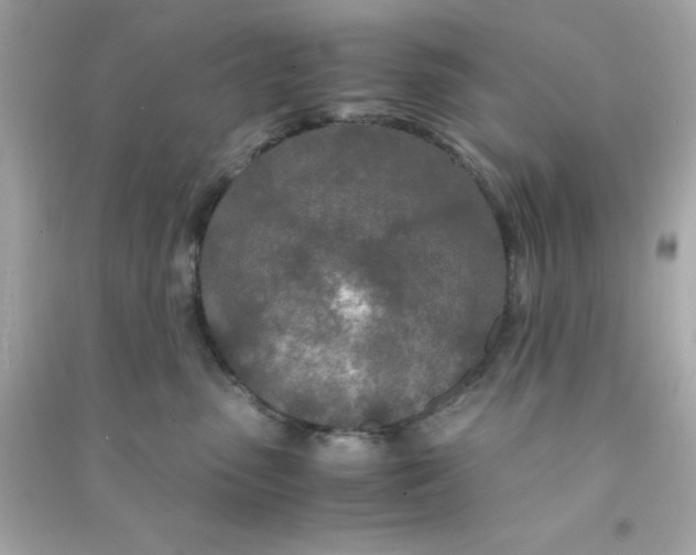 X0000090470475200708102137