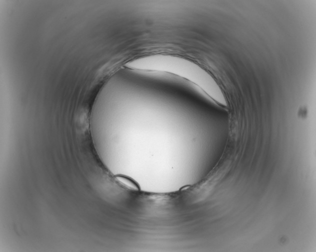 X0000090470478200708102137