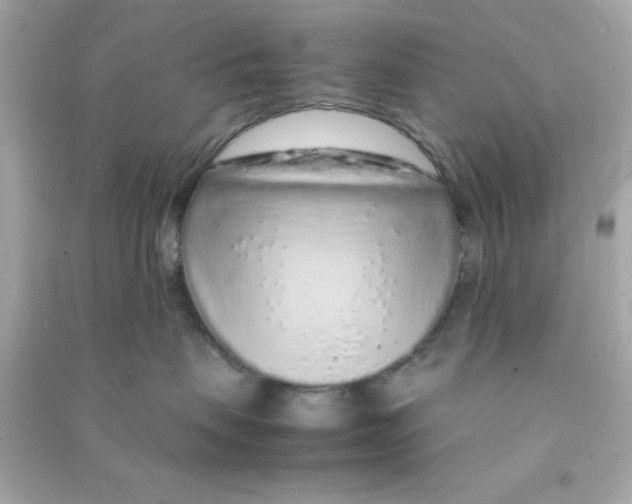 X0000090470479200708102137