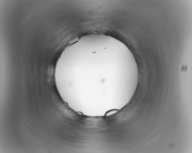 X0000090470480200708102137