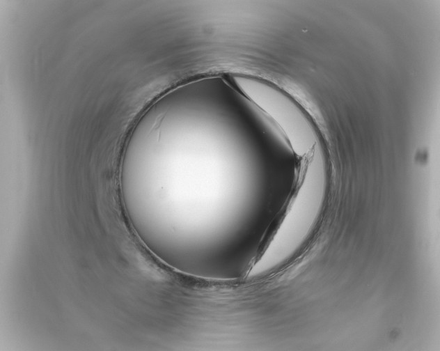 X0000090470481200708102137