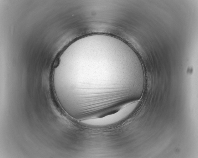 X0000090470482200708102137