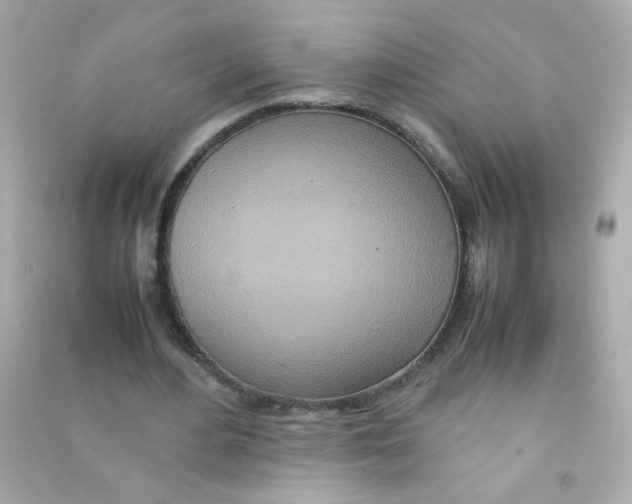 X0000090470484200708102137