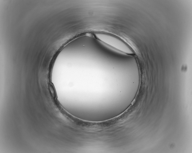 X0000090470485200708102137