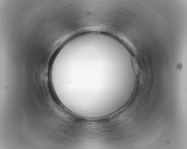 X0000090470486200708102137