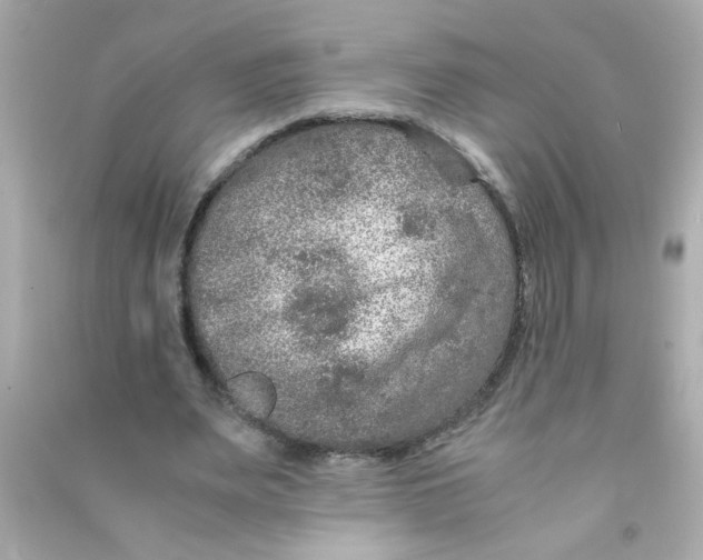 X0000090470487200708102137