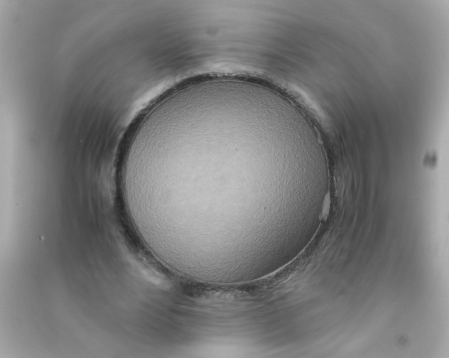 X0000090470488200708102137