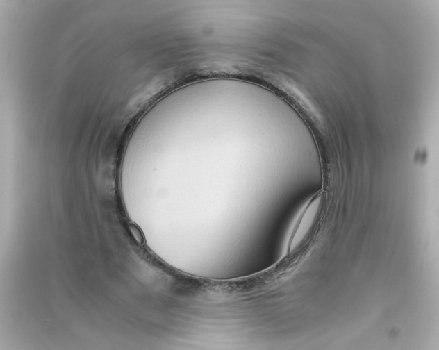 X0000090470489200708102137