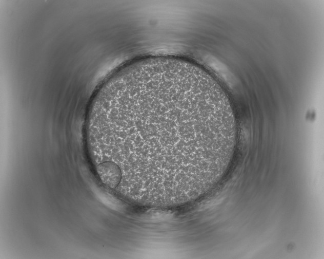 X0000090470491200708102137