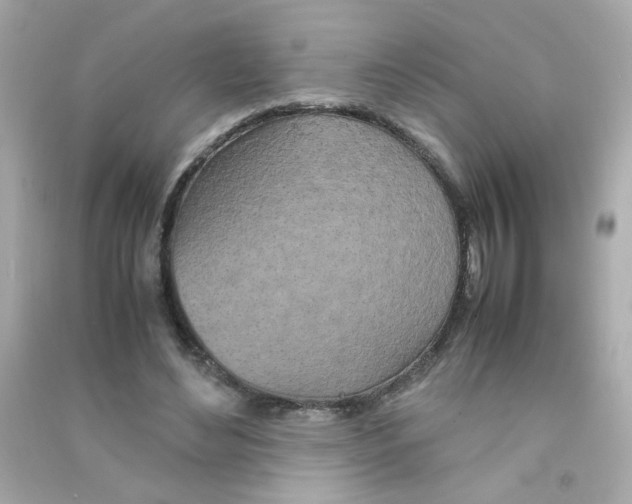 X0000090470492200708102137