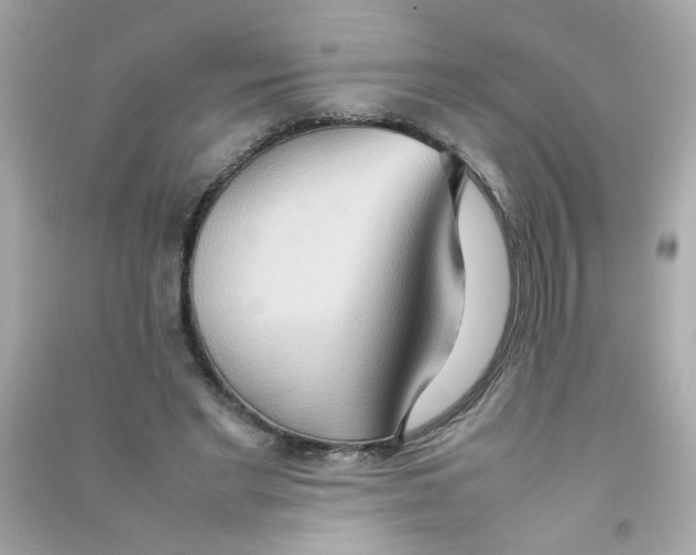 X0000090470493200708102137