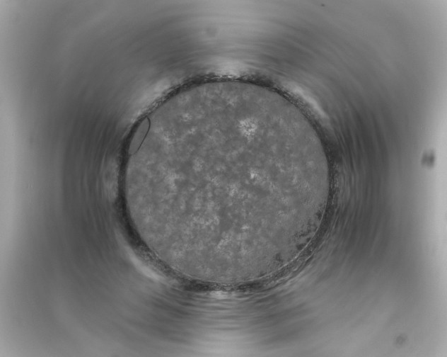 X0000090470496200708102136