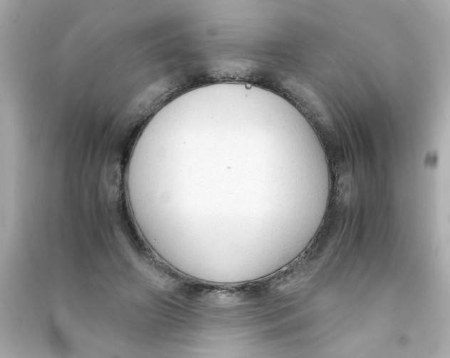 X0000090470498200708102136