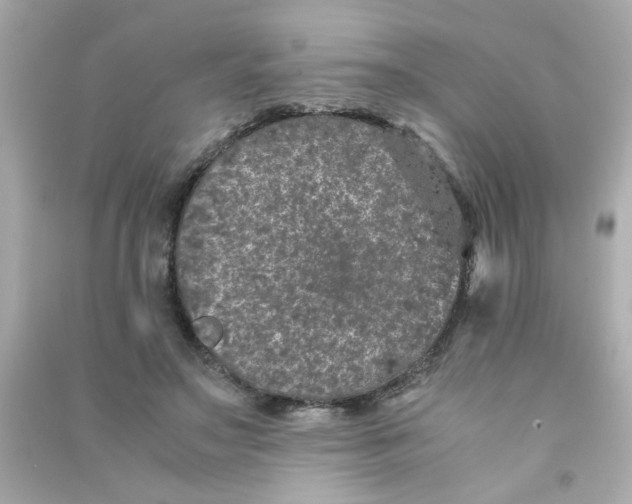 X0000090470499200708102136