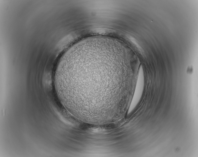 X0000090470500200708102136