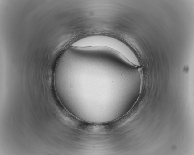 X0000090470501200708102136