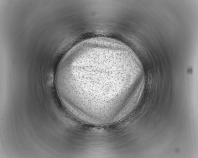 X0000090470502200708102136