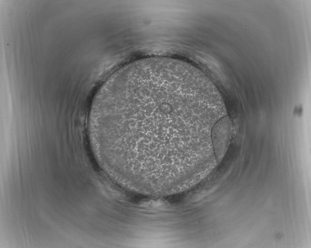 X0000090470503200708102136