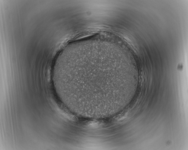 X0000090470504200708102136