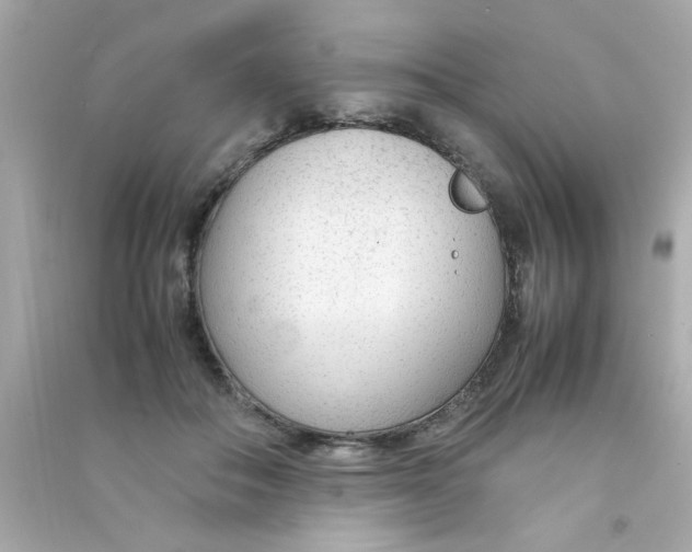 X0000090470506200708102136