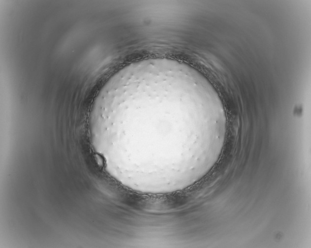 X0000090470507200708102136