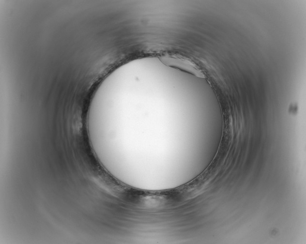 X0000090470508200708102136