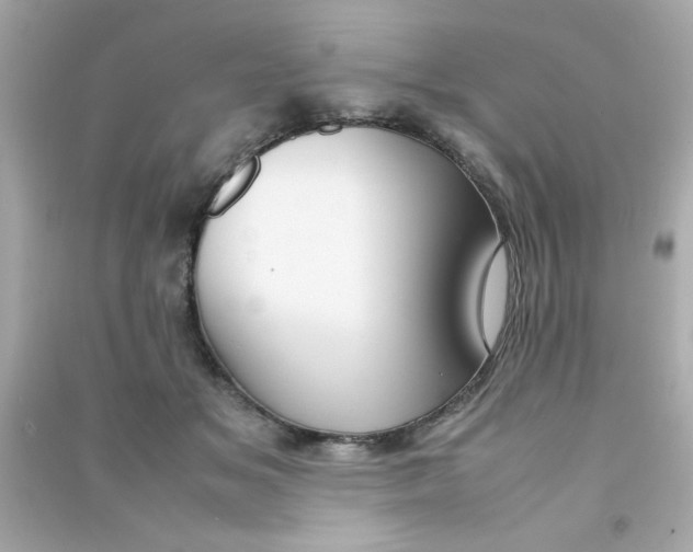 X0000090470509200708102136