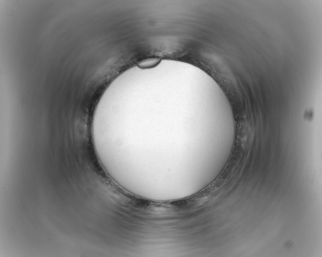 X0000090470510200708102136