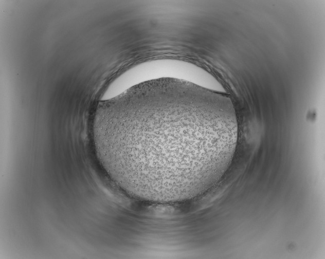 X0000090470512200708102136